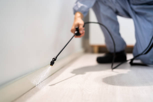 Licensed Mosquito Control service in Hamilton, MO - Show Me Pest Control