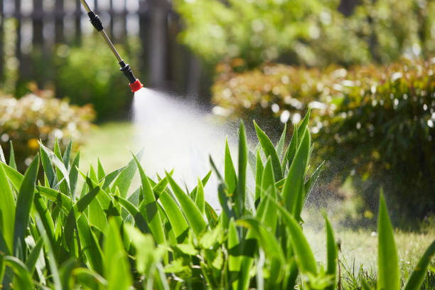 24/7 Emergency Mosquito Control experts in Hamilton, MO