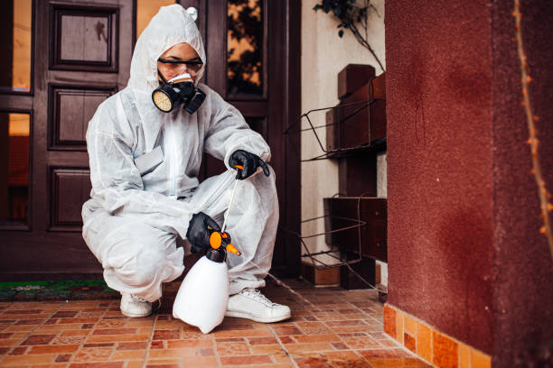 Reliable Mosquito Control contractor in Hamilton, MO by Show Me Pest Control
